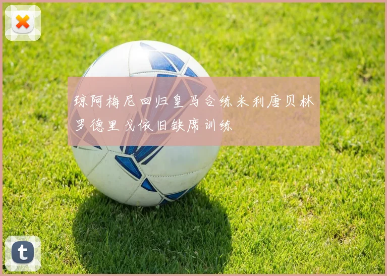 琼阿梅尼回归皇马合练米利唐贝林罗德里戈依旧缺席训练